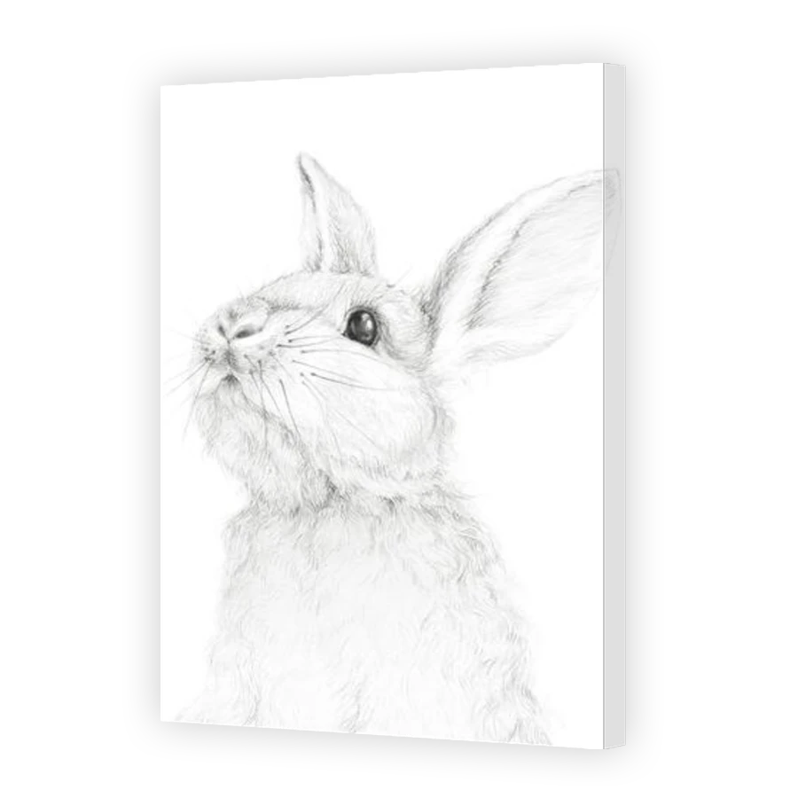 Thumbnail for Canvas - Gallery Canvas Wrap