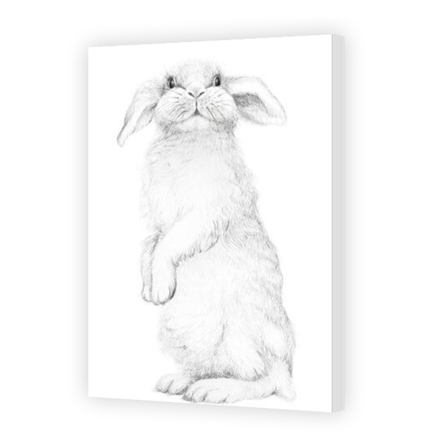 Thumbnail for Canvas - Gallery Canvas Wrap