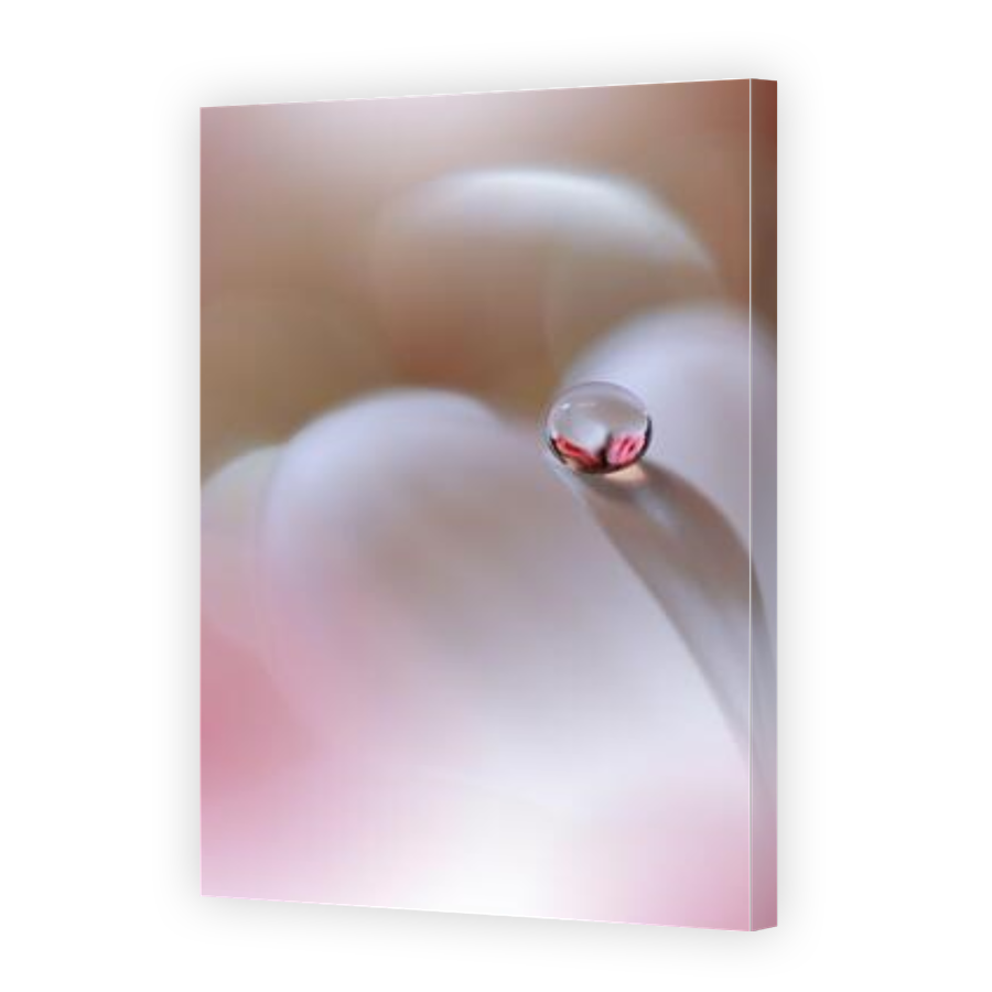 Thumbnail for Canvas - Gallery Canvas Wrap