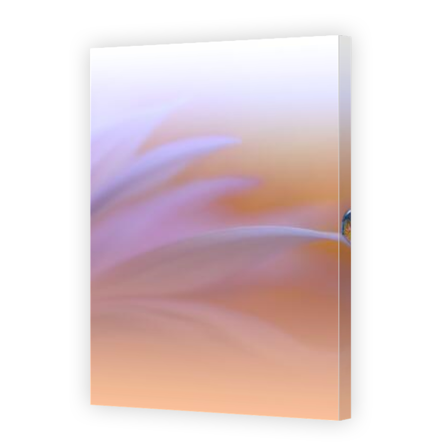 Thumbnail for Canvas - Gallery Canvas Wrap