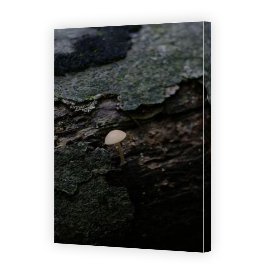 Thumbnail for Canvas - Gallery Canvas Wrap