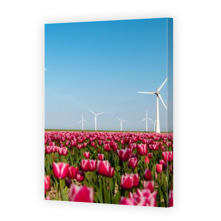 Thumbnail for Canvas - Gallery Canvas Wrap