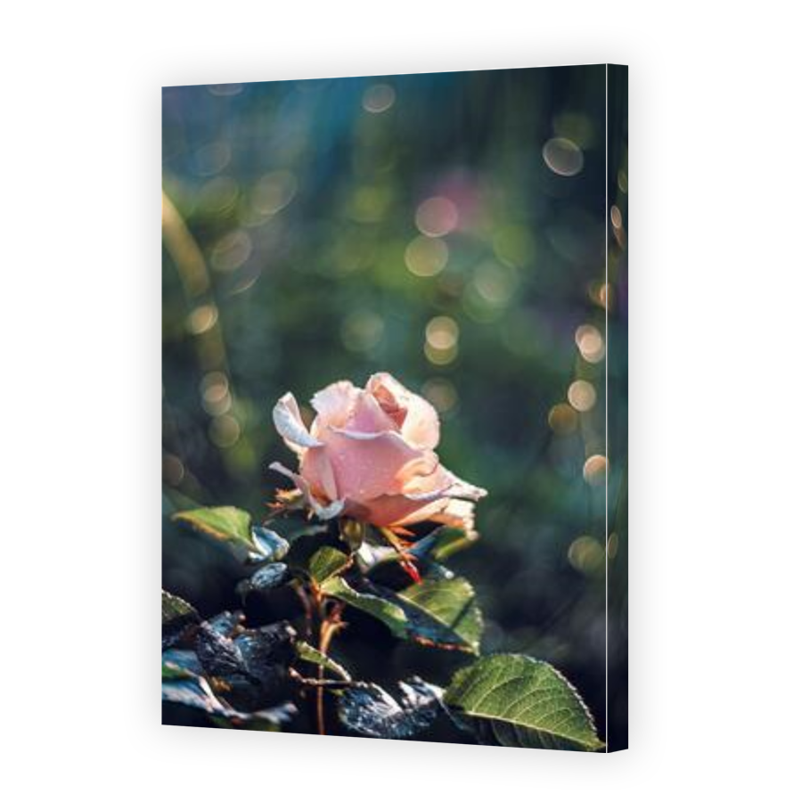 Thumbnail for Canvas - Gallery Canvas Wrap