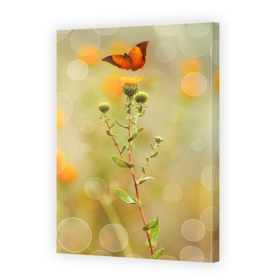 Thumbnail for Canvas - Gallery Canvas Wrap