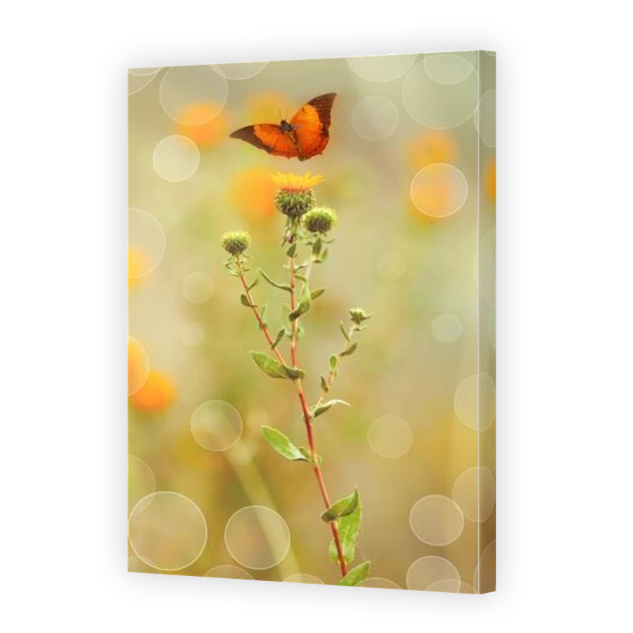 Thumbnail for Canvas - Gallery Canvas Wrap