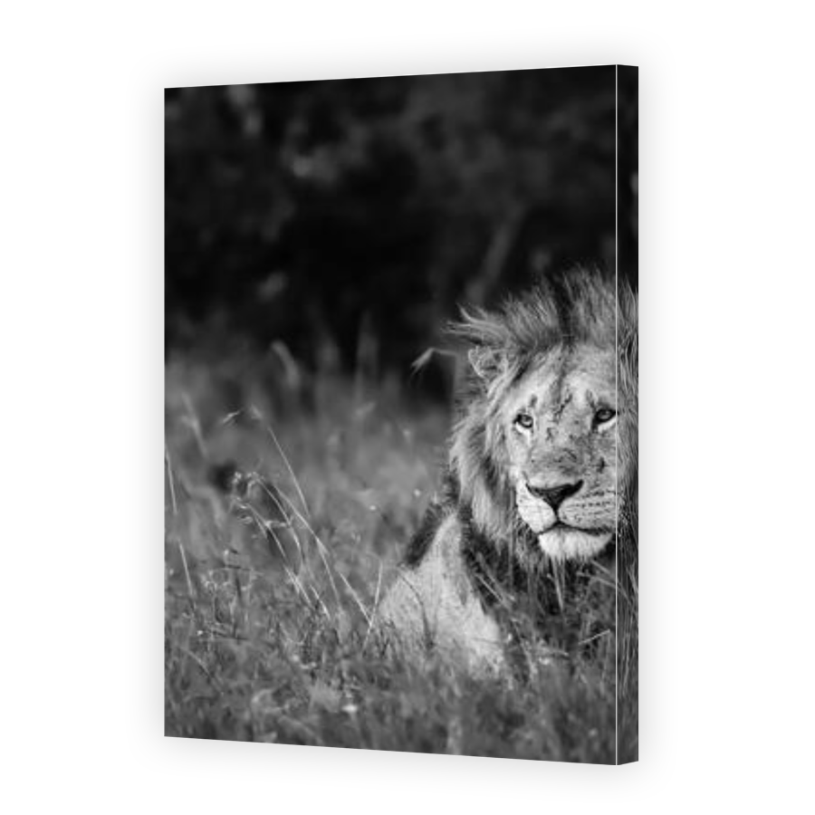 Thumbnail for Canvas - Gallery Canvas Wrap