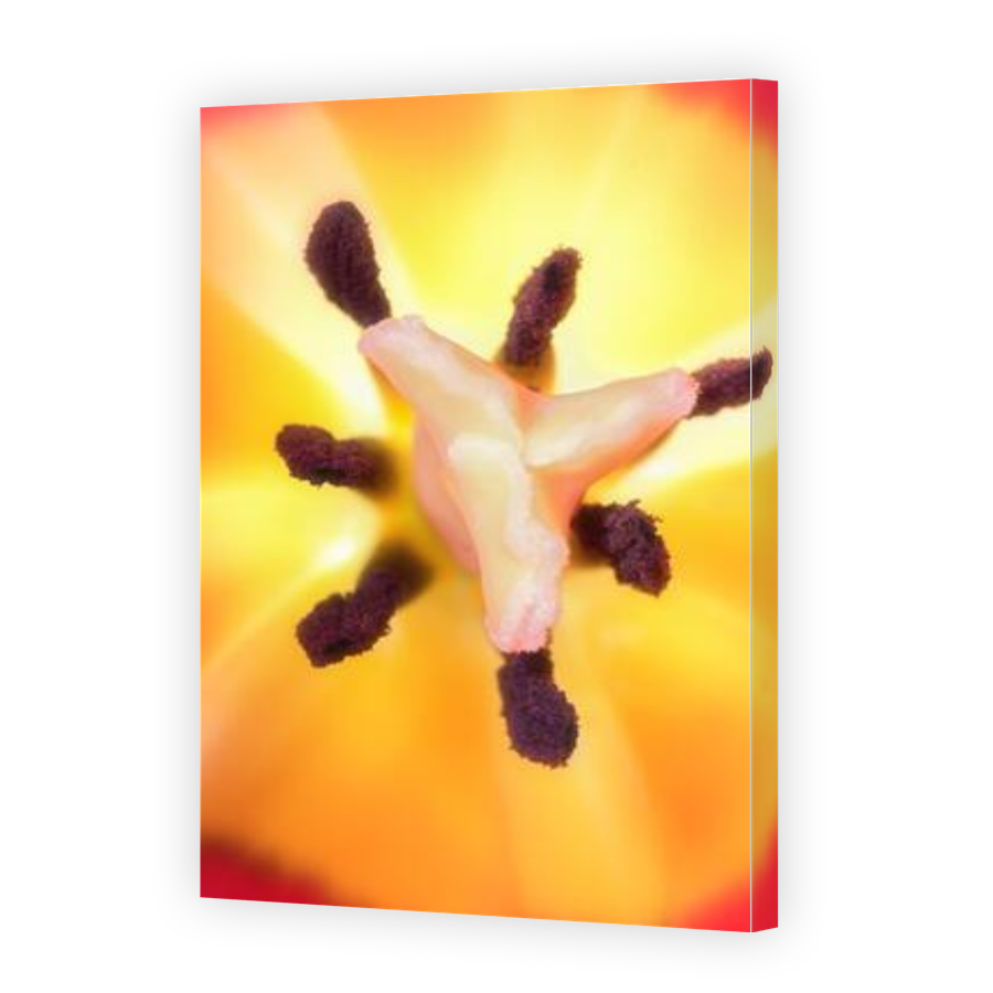 Thumbnail for Canvas - Gallery Canvas Wrap