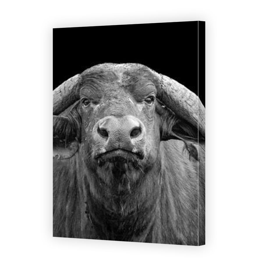 Thumbnail for Canvas - Gallery Canvas Wrap
