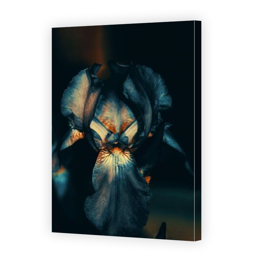 Thumbnail for Canvas - Gallery Canvas Wrap