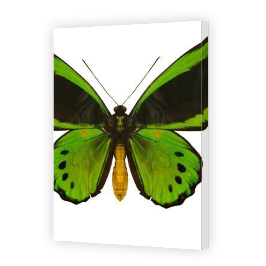 Thumbnail for Canvas - Gallery Canvas Wrap