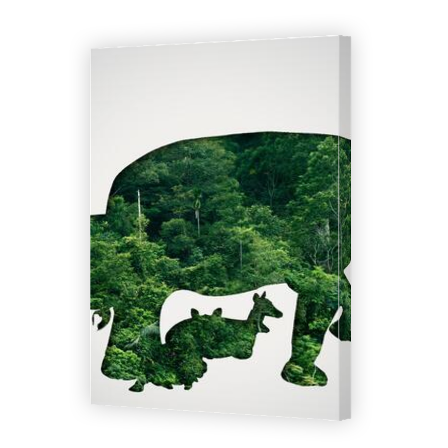 Thumbnail for Canvas - Gallery Canvas Wrap
