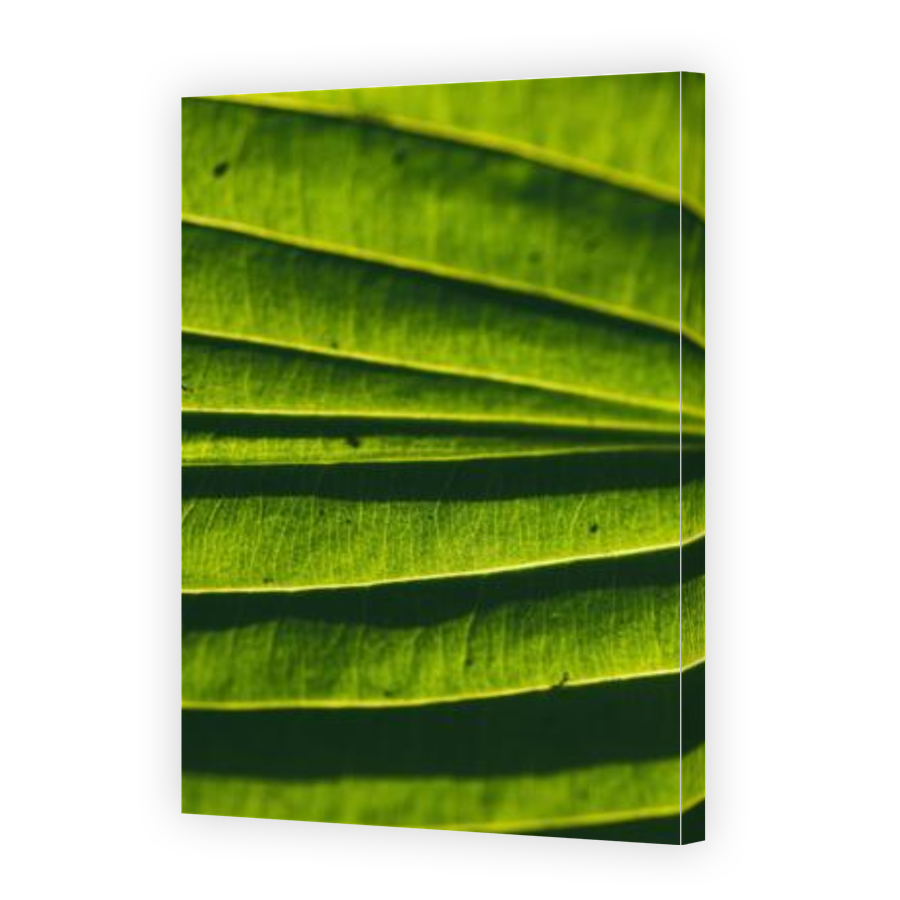 Thumbnail for Canvas - Gallery Canvas Wrap
