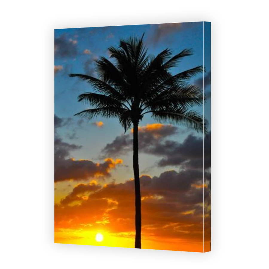 Thumbnail for Canvas - Gallery Canvas Wrap