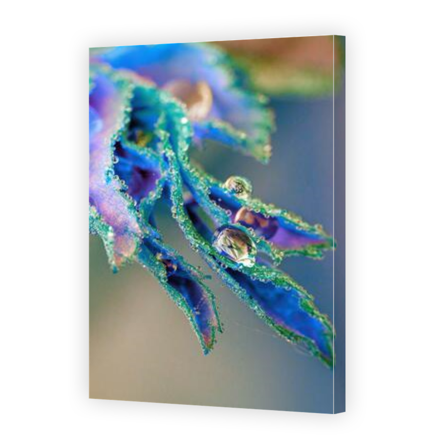 Thumbnail for Canvas - Gallery Canvas Wrap