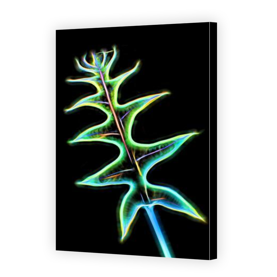 Thumbnail for Canvas - Gallery Canvas Wrap