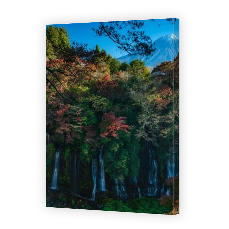 Thumbnail for Canvas - Gallery Canvas Wrap