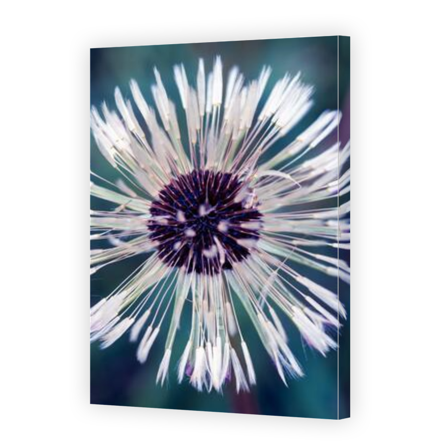 Thumbnail for Canvas - Gallery Canvas Wrap