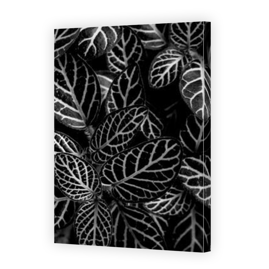 Thumbnail for Canvas - Gallery Canvas Wrap