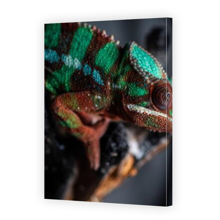 Thumbnail for Canvas - Gallery Canvas Wrap
