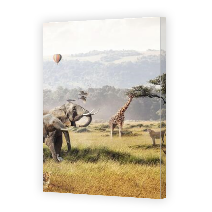 Thumbnail for Canvas - Gallery Canvas Wrap