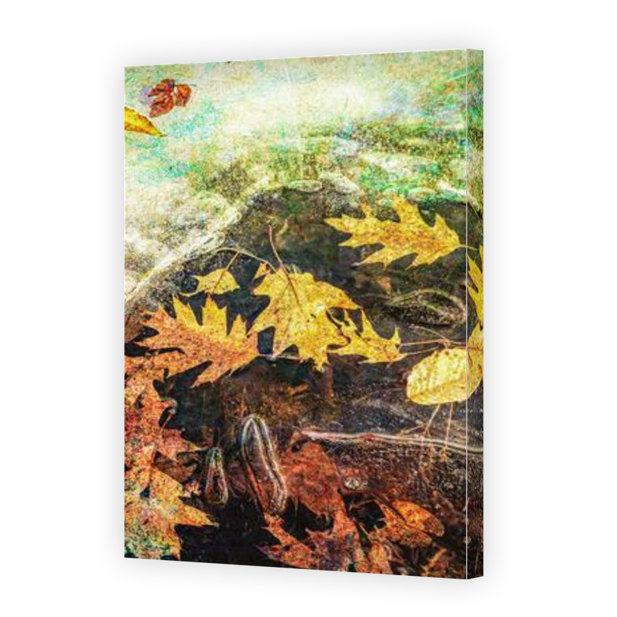 Thumbnail for Canvas - Gallery Canvas Wrap