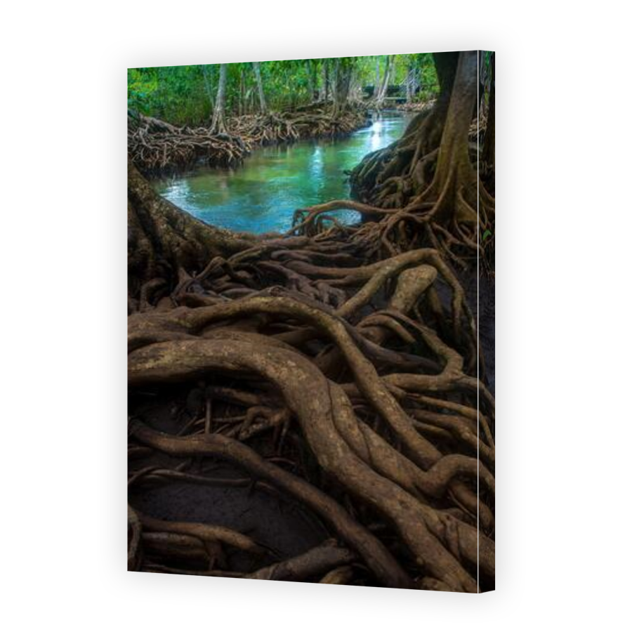 Thumbnail for Canvas - Gallery Canvas Wrap