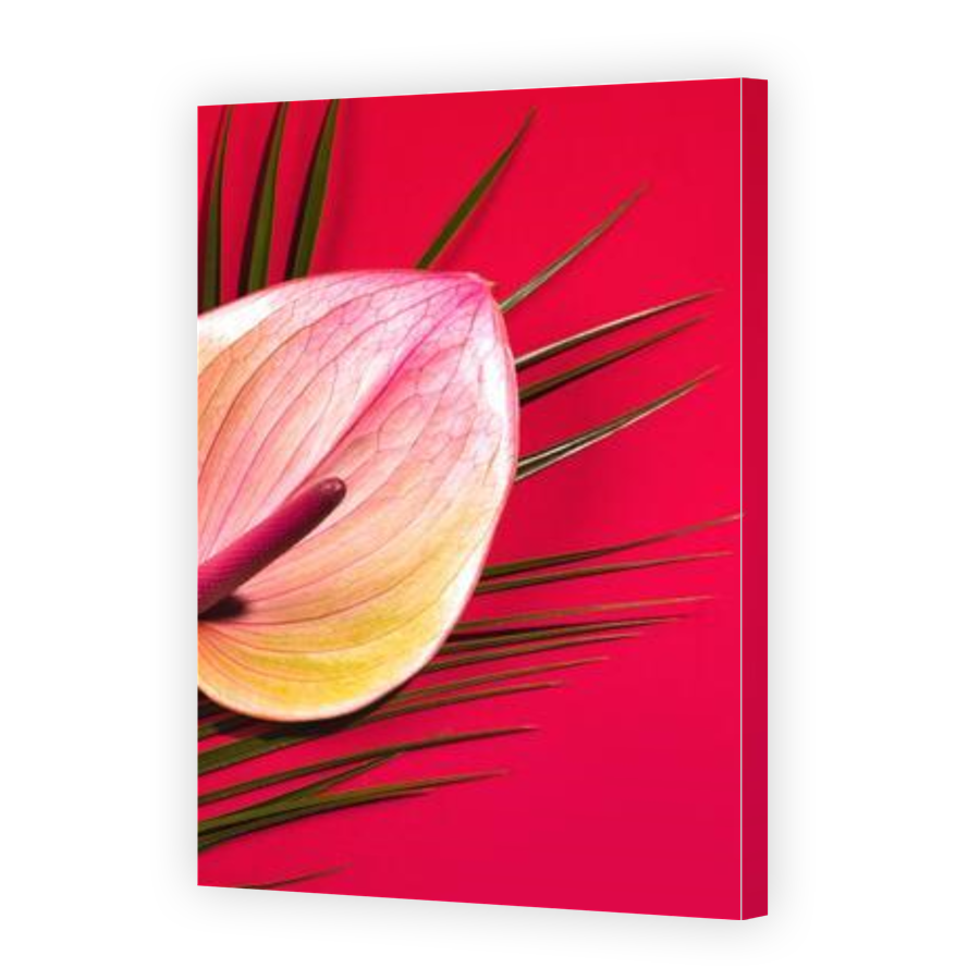Thumbnail for Canvas - Gallery Canvas Wrap