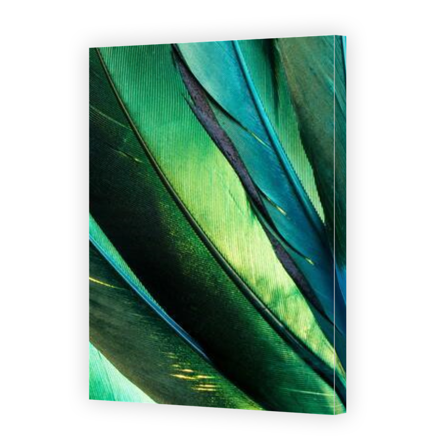 Thumbnail for Canvas - Gallery Canvas Wrap