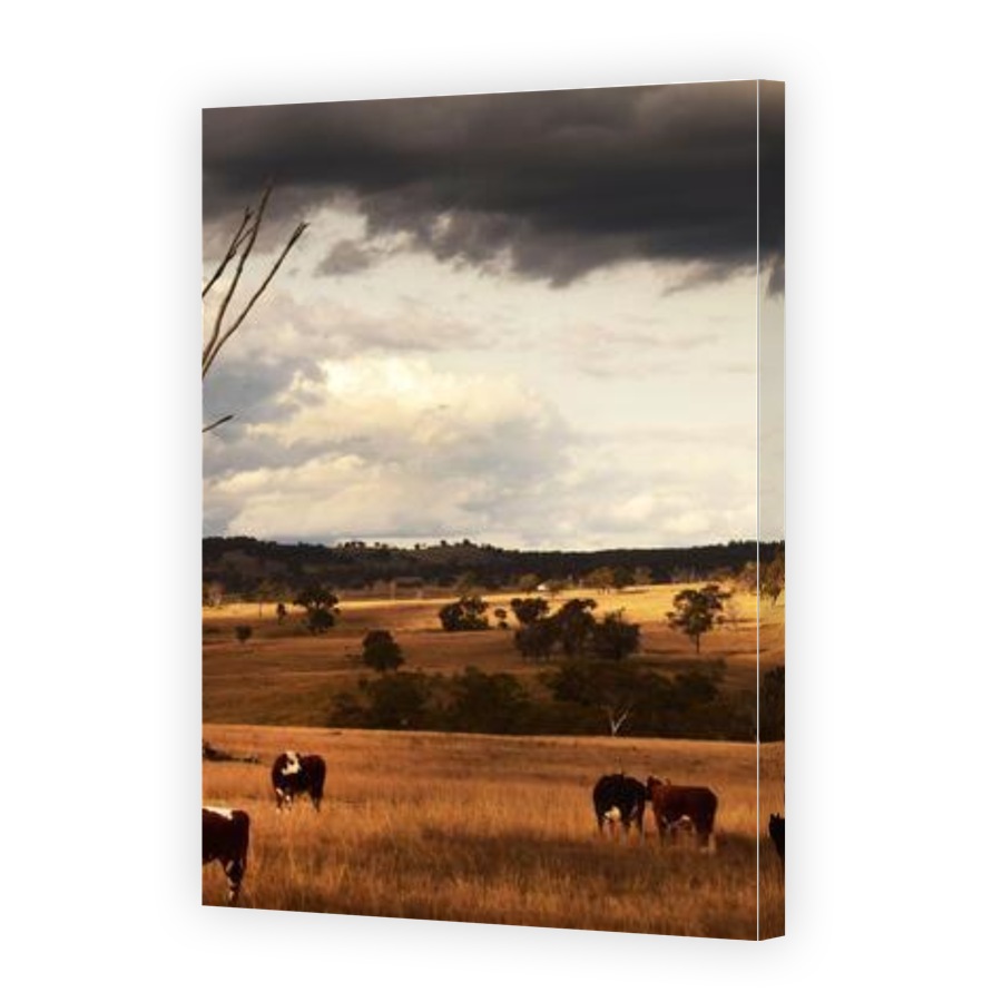 Thumbnail for Canvas - Gallery Canvas Wrap