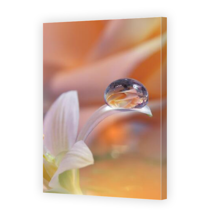 Thumbnail for Canvas - Gallery Canvas Wrap