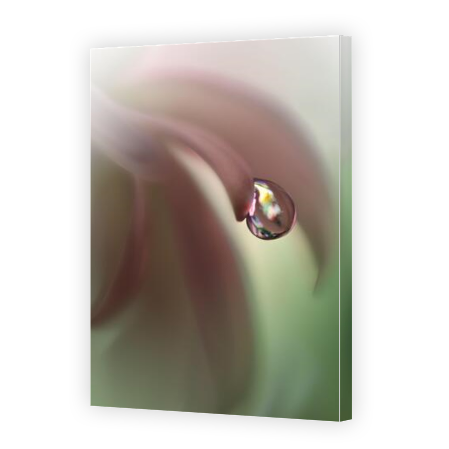 Thumbnail for Canvas - Gallery Canvas Wrap