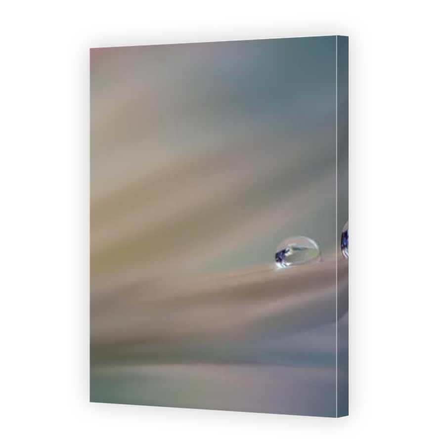 Thumbnail for Canvas - Gallery Canvas Wrap