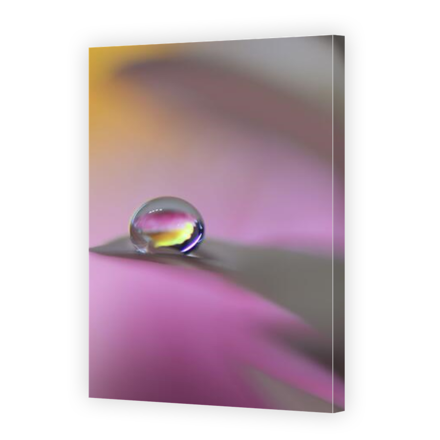 Thumbnail for Canvas - Gallery Canvas Wrap