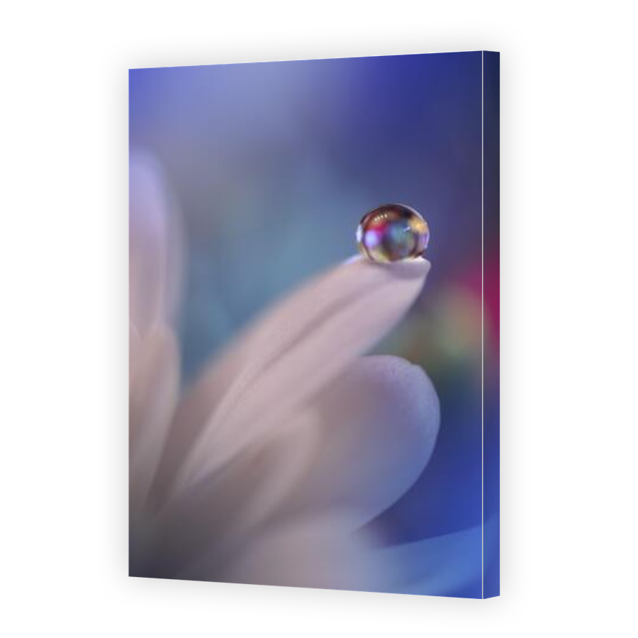 Thumbnail for Canvas - Gallery Canvas Wrap