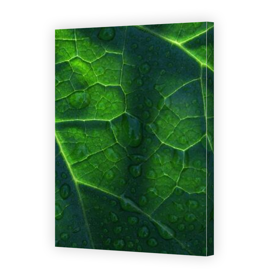 Thumbnail for Canvas - Gallery Canvas Wrap