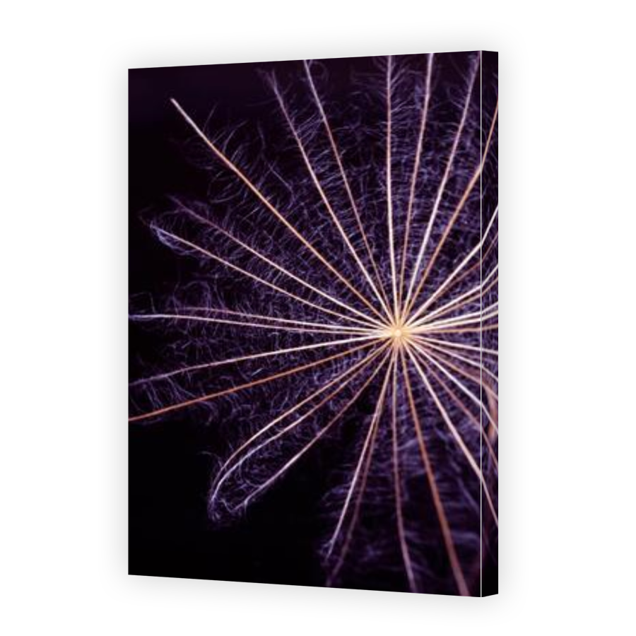 Thumbnail for Canvas - Gallery Canvas Wrap