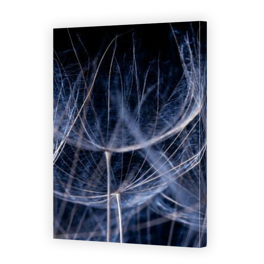 Thumbnail for Canvas - Gallery Canvas Wrap