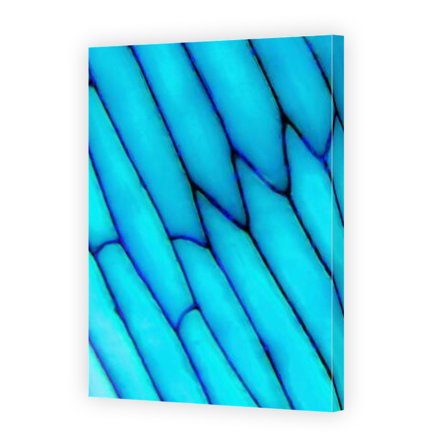 Thumbnail for Canvas - Gallery Canvas Wrap