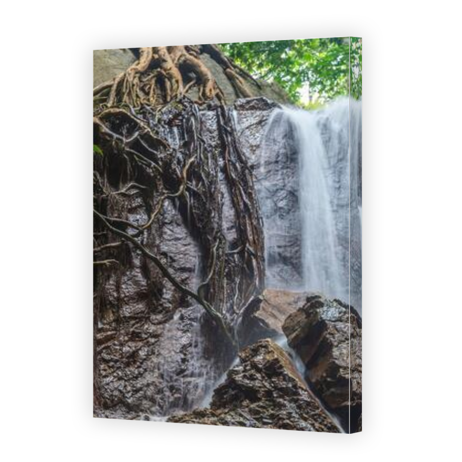Thumbnail for Canvas - Gallery Canvas Wrap