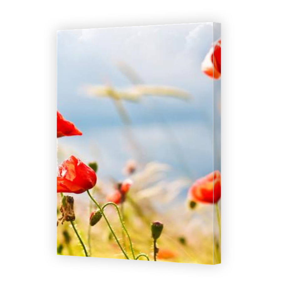 Thumbnail for Canvas - Gallery Canvas Wrap