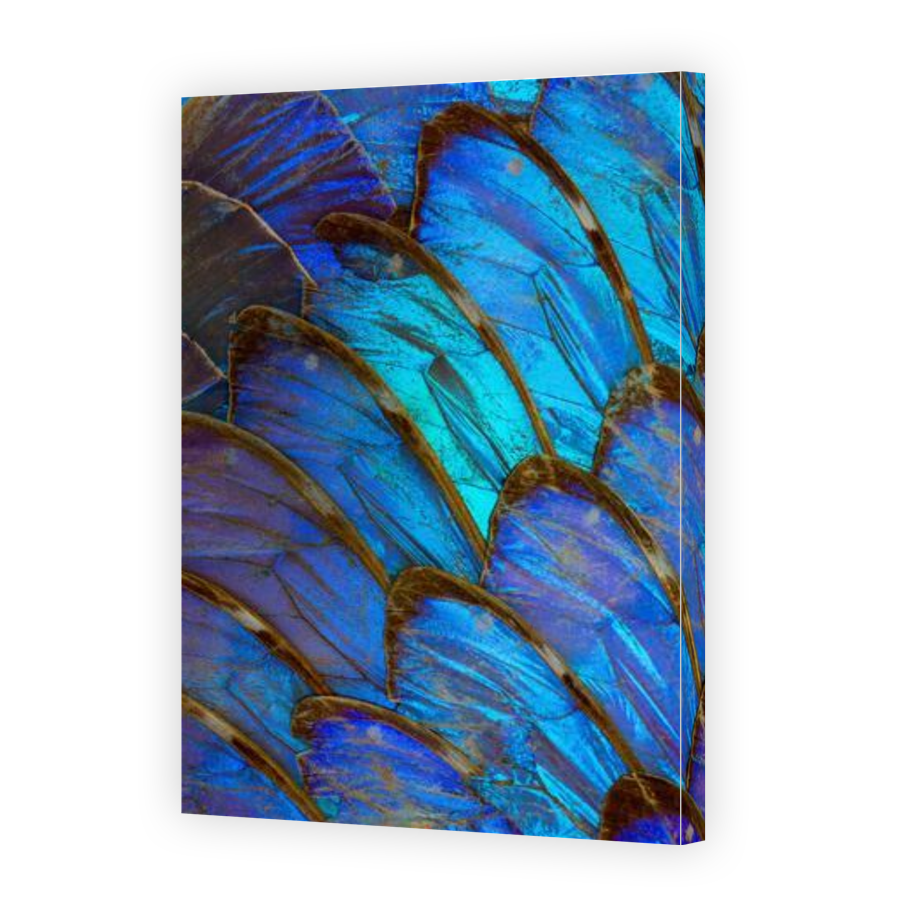 Thumbnail for Canvas - Gallery Canvas Wrap