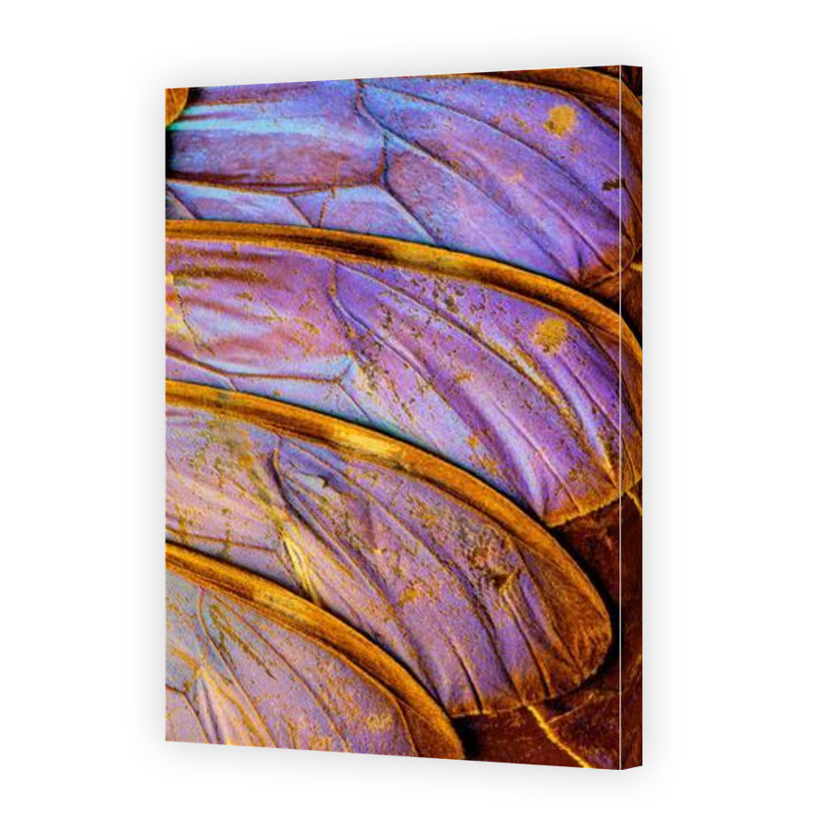Thumbnail for Canvas - Gallery Canvas Wrap