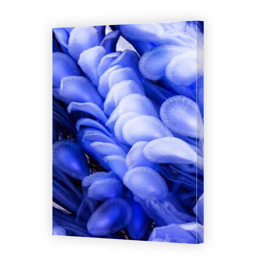 Thumbnail for Canvas - Gallery Canvas Wrap