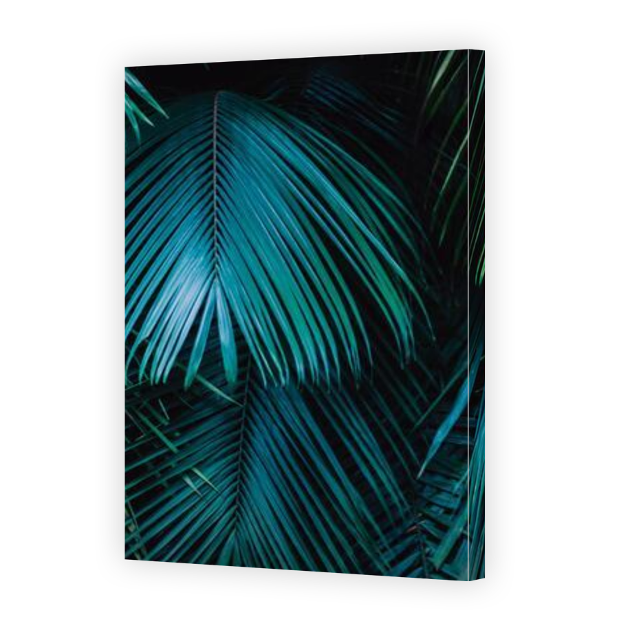 Thumbnail for Canvas - Gallery Canvas Wrap