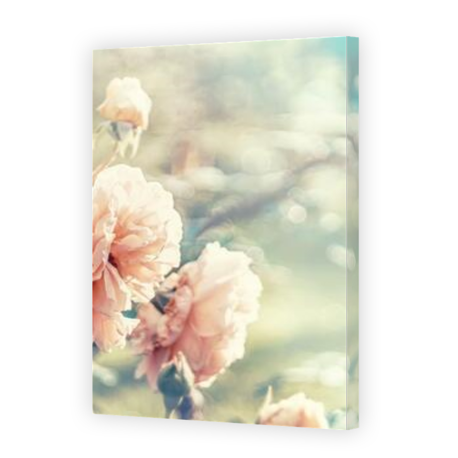 Thumbnail for Canvas - Gallery Canvas Wrap