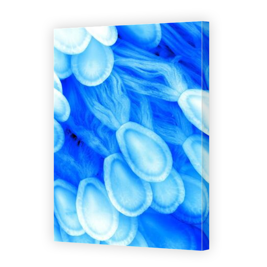 Thumbnail for Canvas - Gallery Canvas Wrap