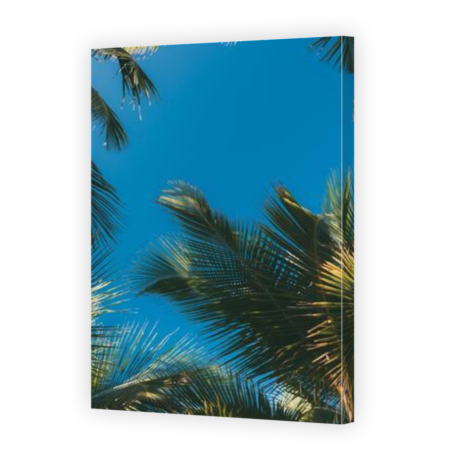Thumbnail for Canvas - Gallery Canvas Wrap