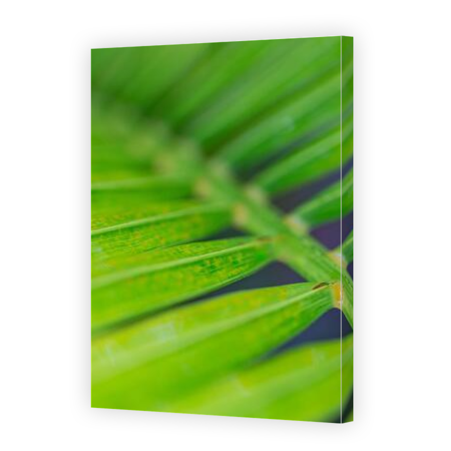 Thumbnail for Canvas - Gallery Canvas Wrap