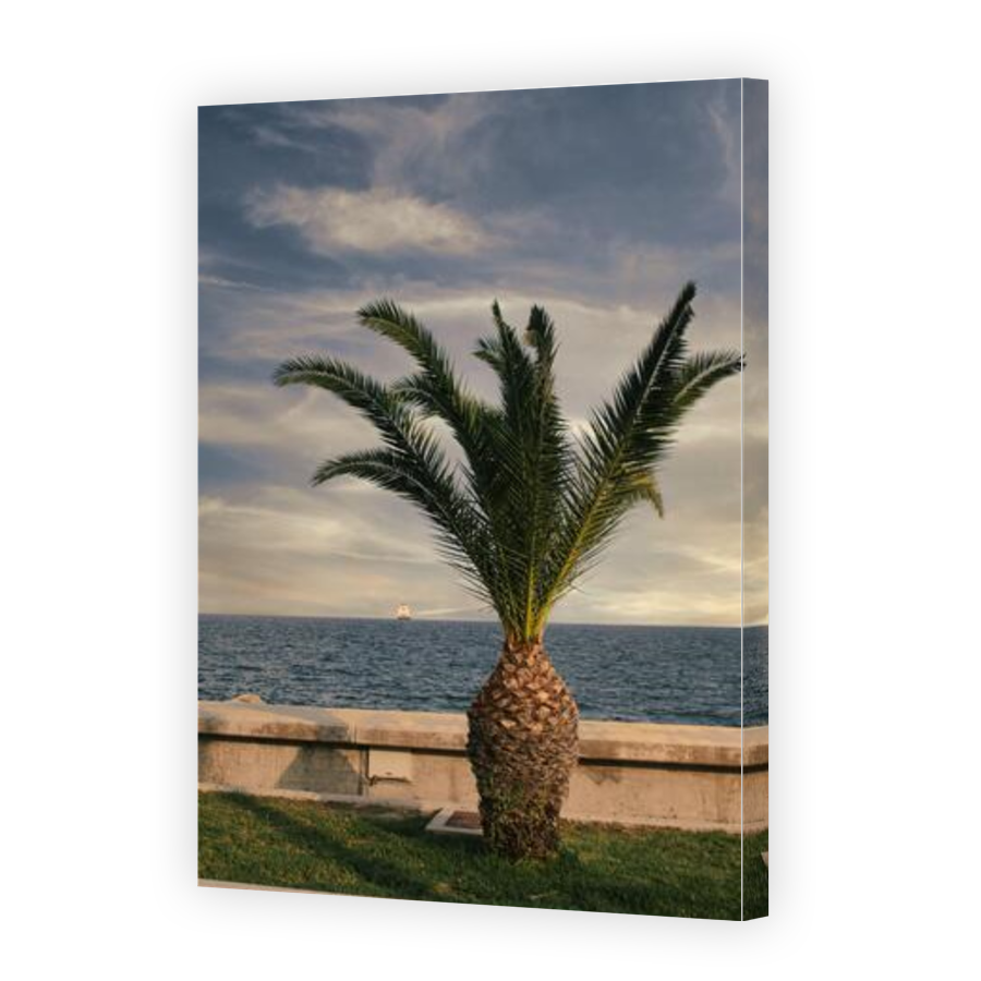 Thumbnail for Canvas - Gallery Canvas Wrap