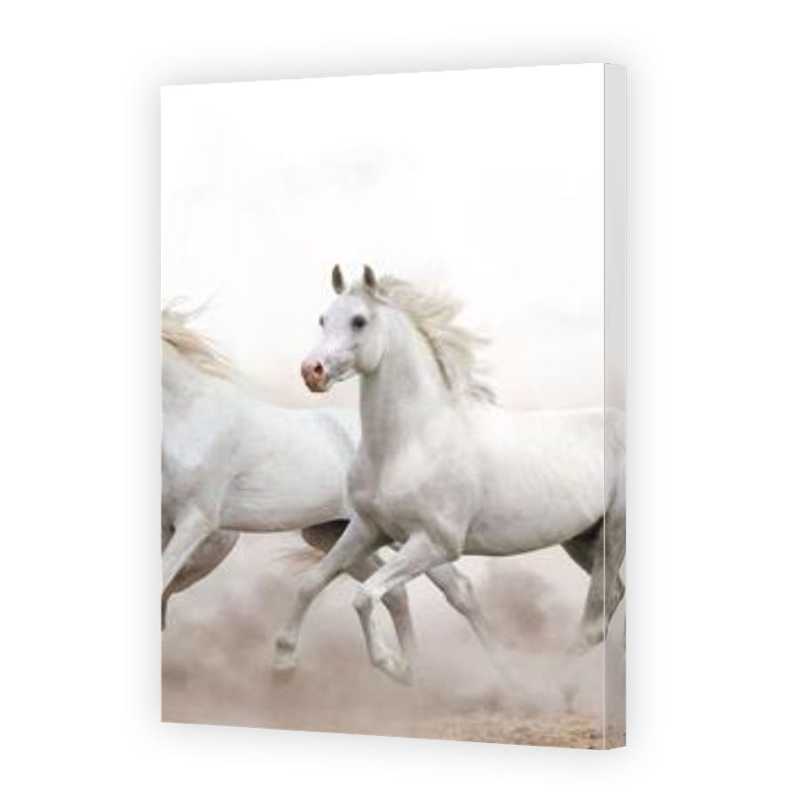Thumbnail for Canvas - Gallery Canvas Wrap
